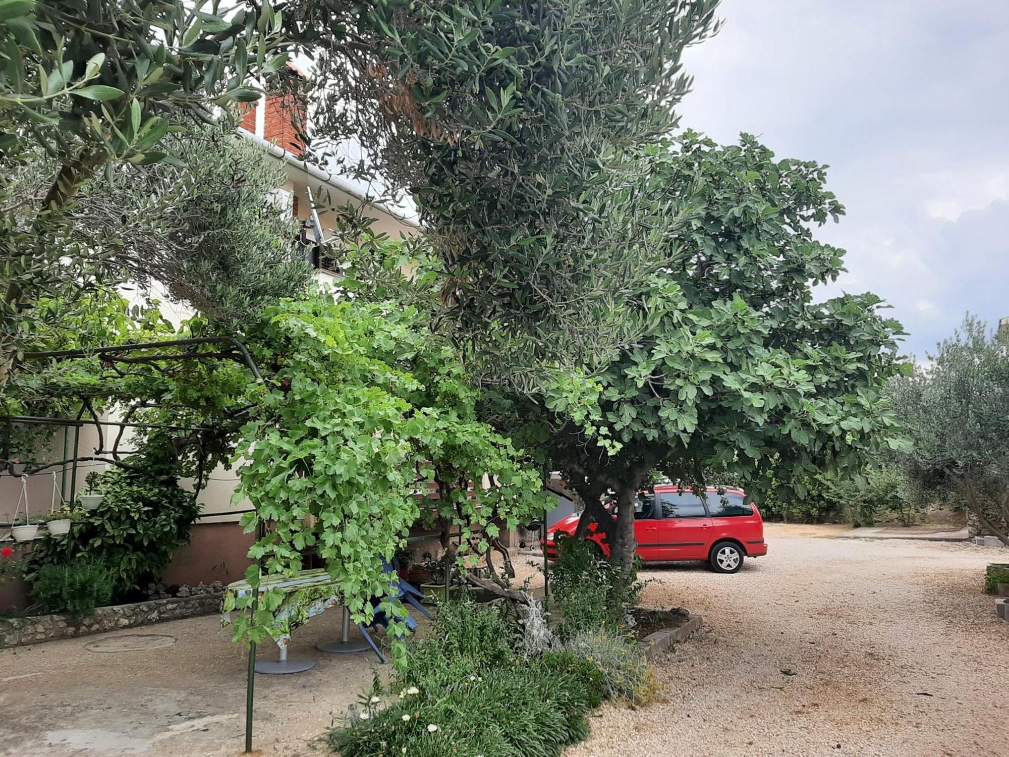 Apartmani Marija Povljana Værelse billede